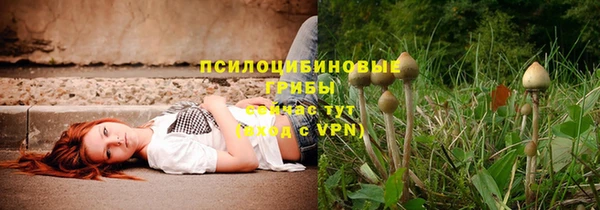 круглые Белокуриха