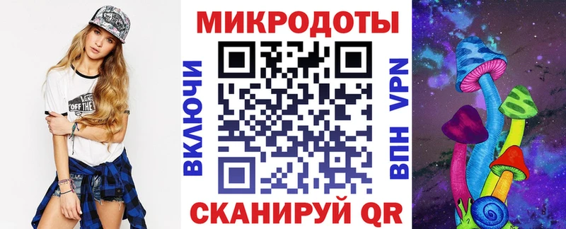 Псилоцибиновые грибы Psilocybe  Чернушка 