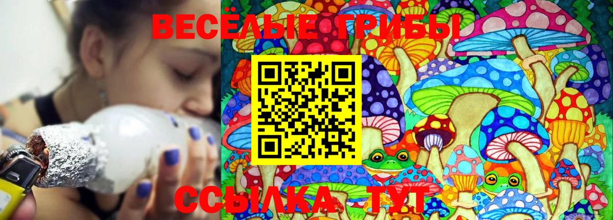 Галлюциногенные грибы прущие грибы Чернушка