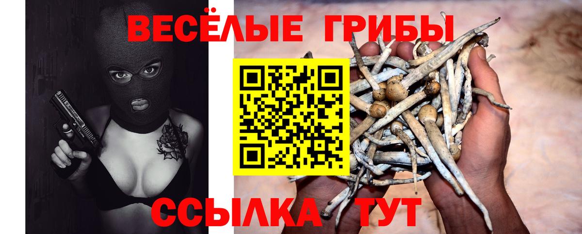 Галлюциногенные грибы прущие грибы  Вход с VPN  Чернушка 
